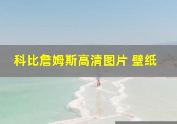 科比詹姆斯高清图片 壁纸